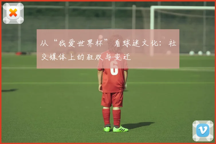 从“我爱世界杯”看球迷文化：社交媒体上的狂欢与变迁