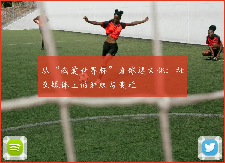 从“我爱世界杯”看球迷文化：社交媒体上的狂欢与变迁